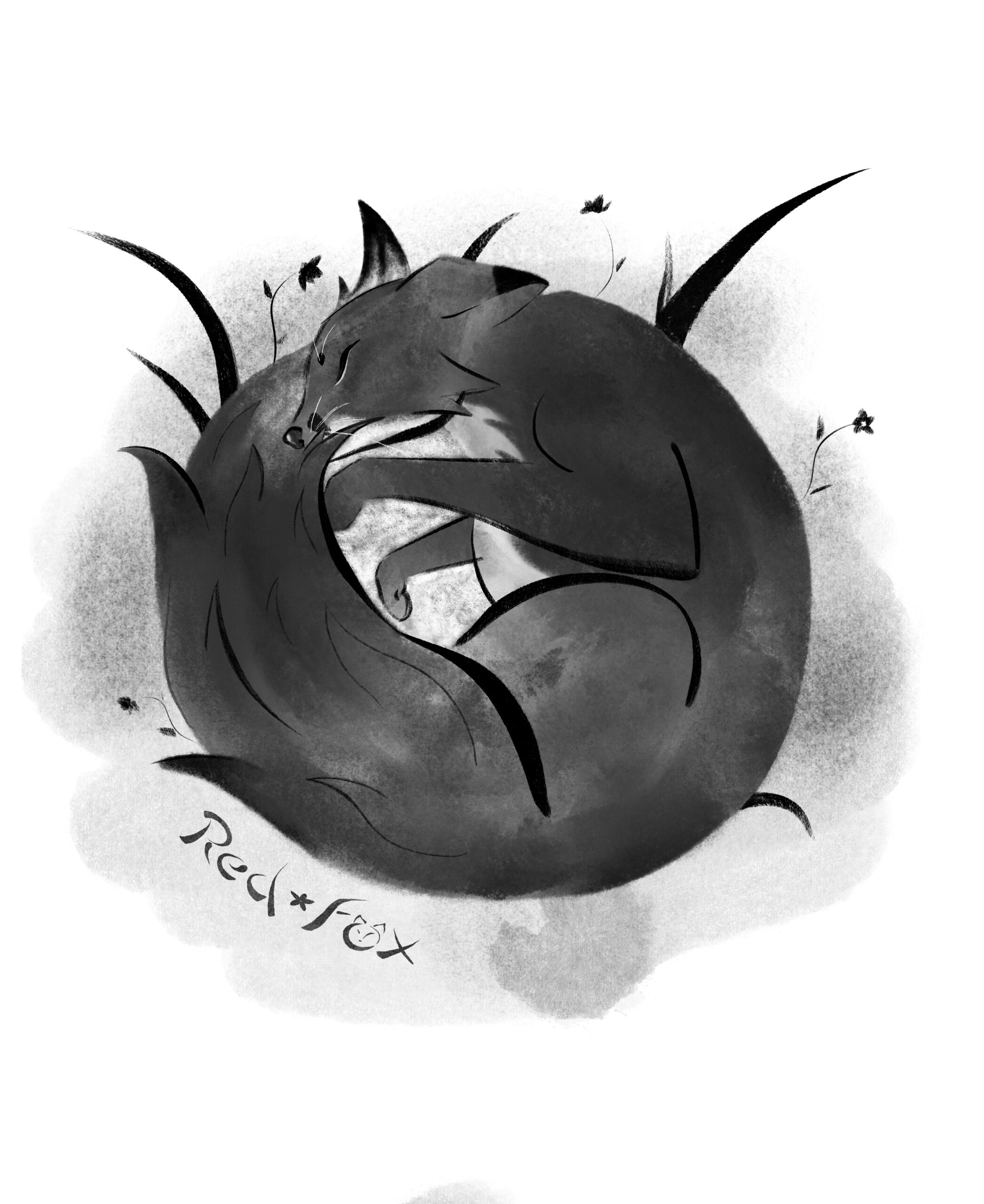 Grayscale fox curled up sleeping